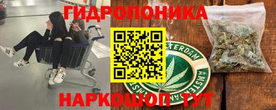 мяу мяу мука Баксан