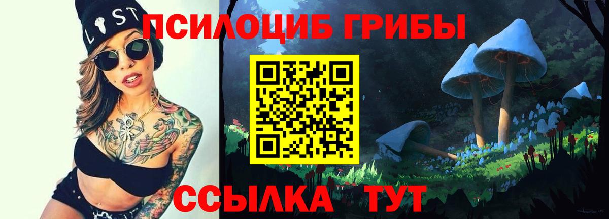 Псилоцибиновые грибы ЛСД  Вход с VPN  купить наркотики цена  Баксан 