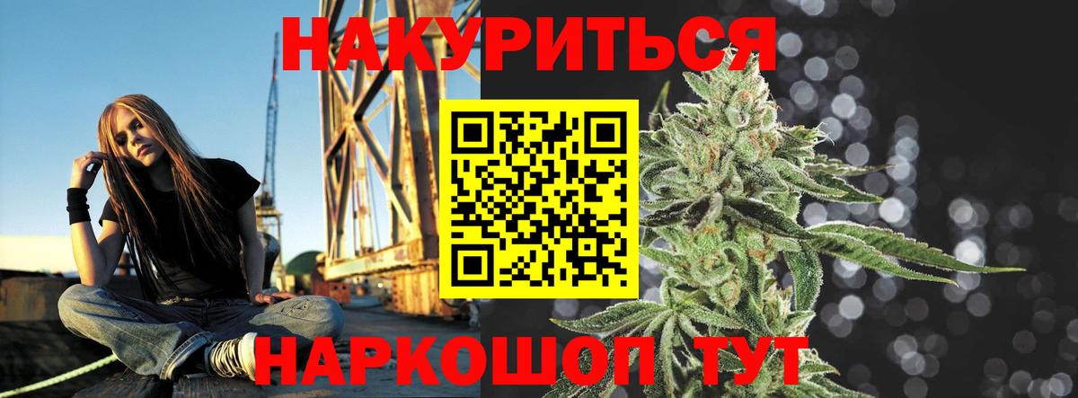 Конопля планчик Баксан